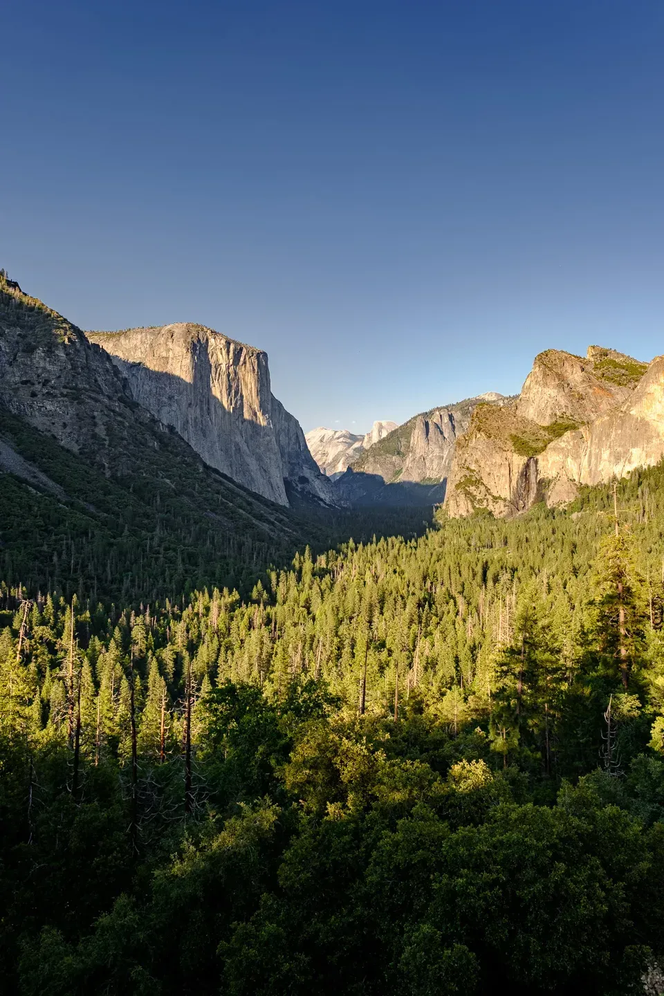 2021 california image 87