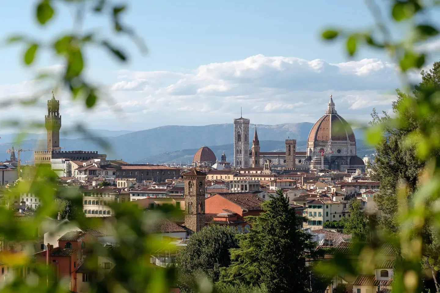 2021 franceswitzerlanditaly image 269