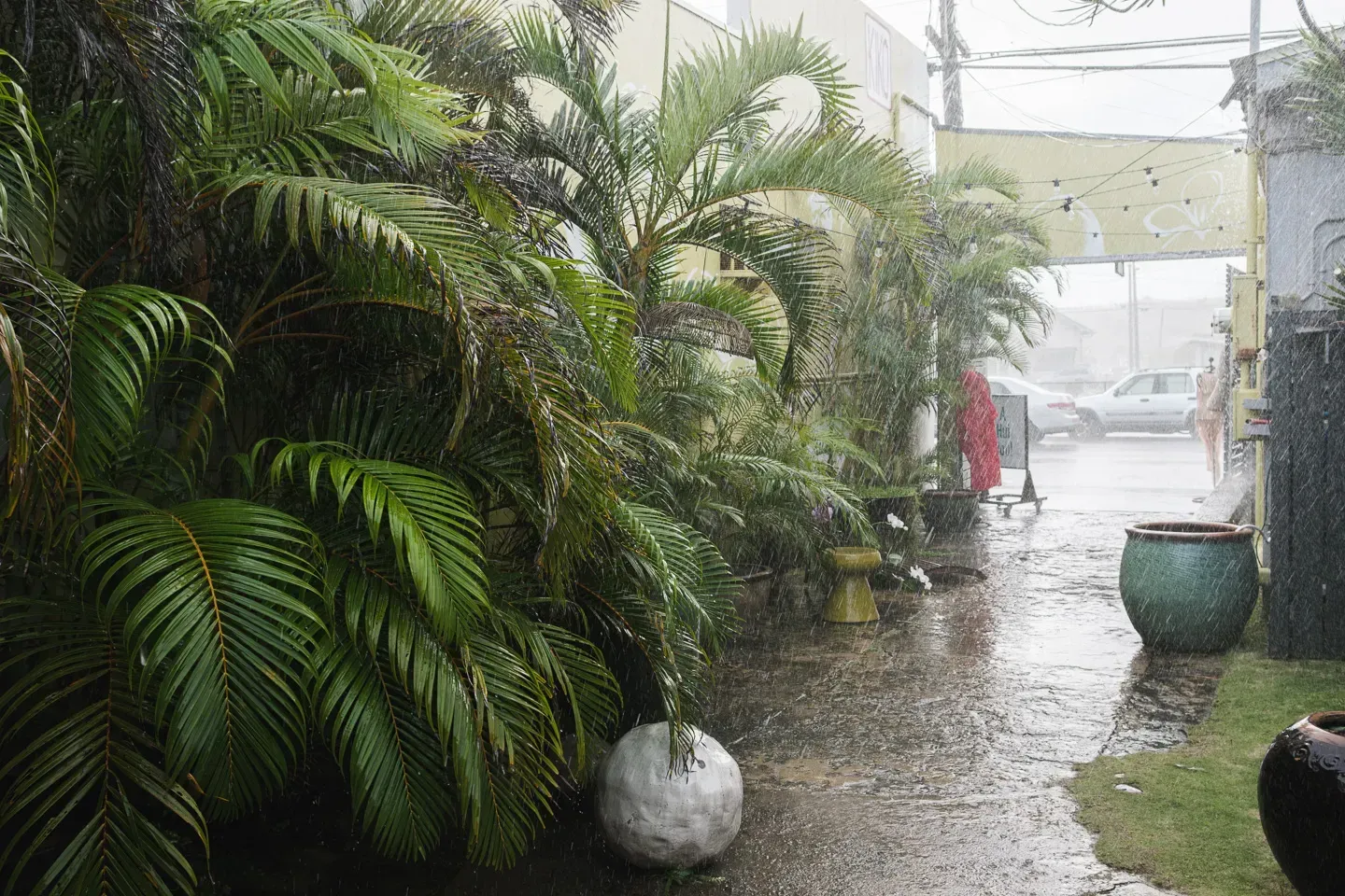 2023 hawaii image 2
