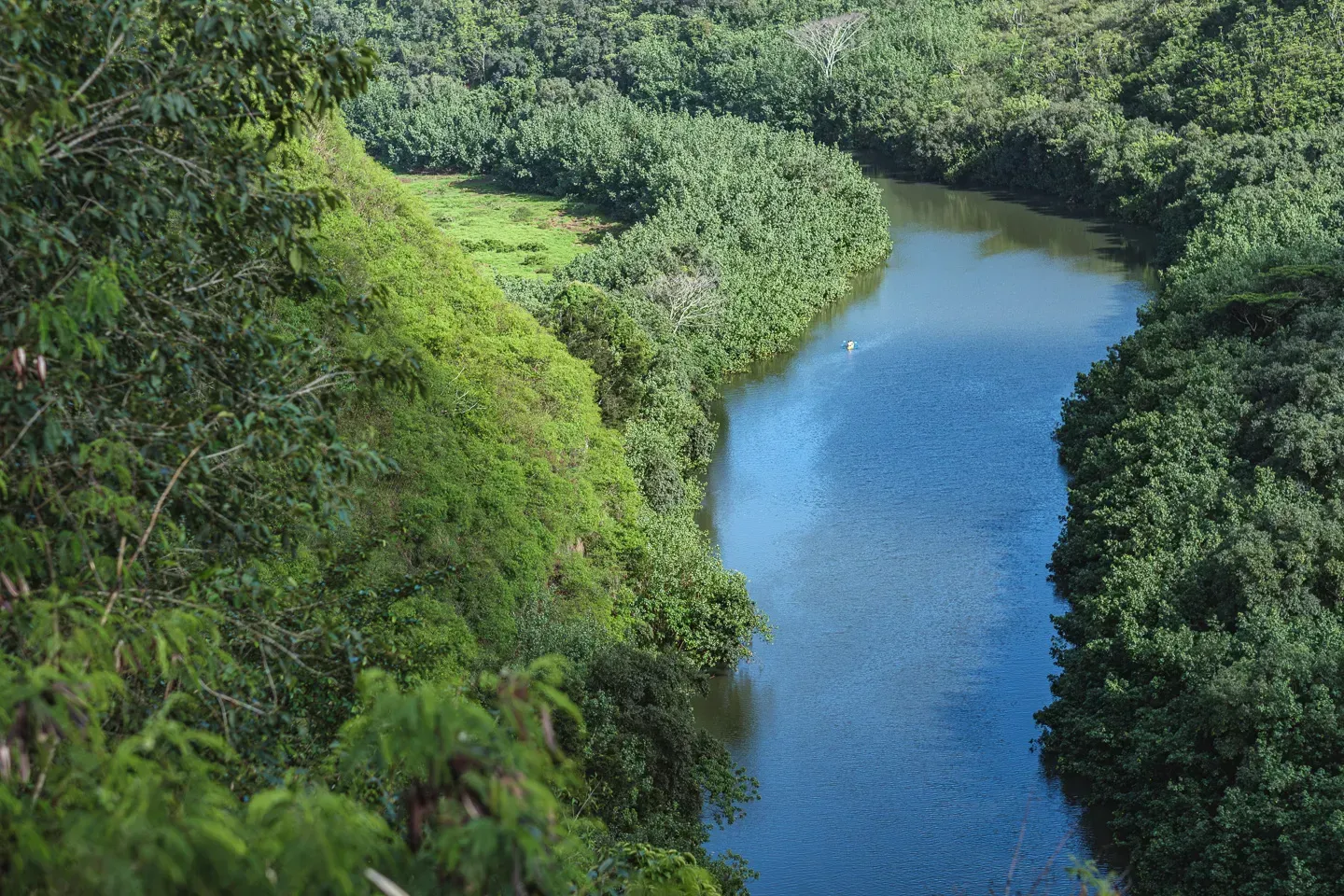 2023 hawaii image 4