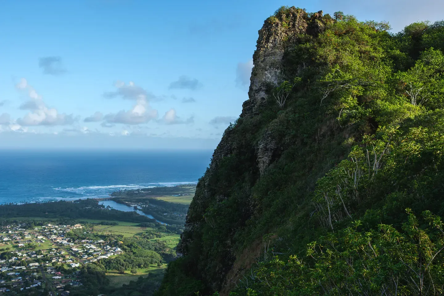 2023 hawaii image 9