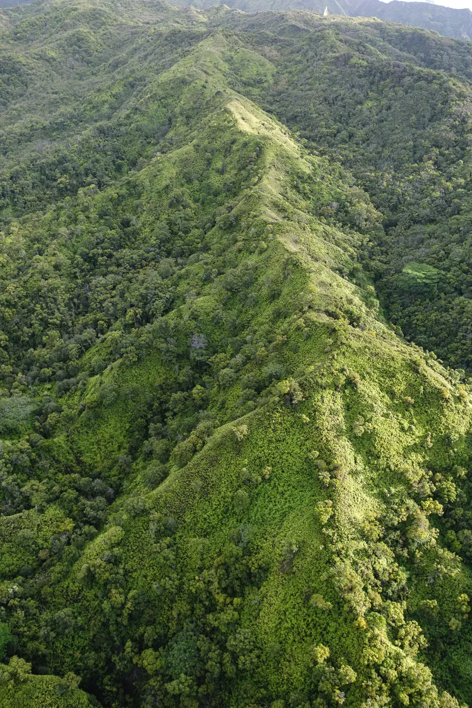 2023 hawaii image 27