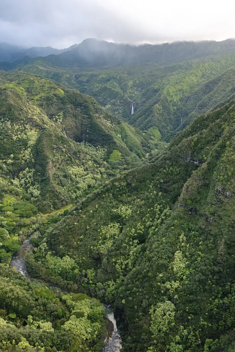 2023 hawaii image 28