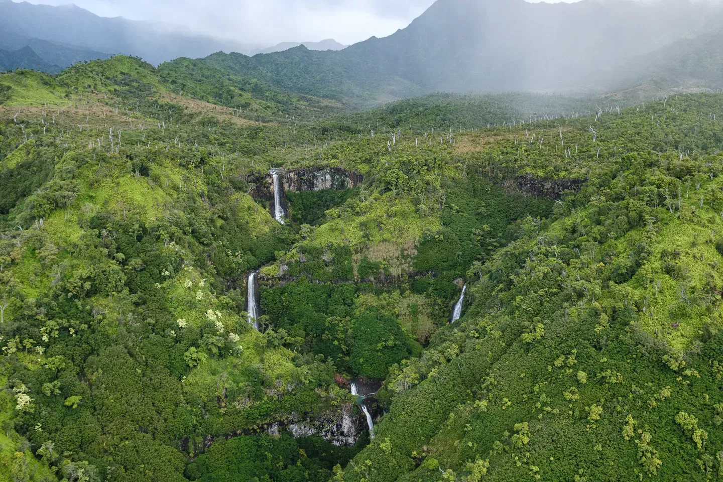 2023 hawaii image 30