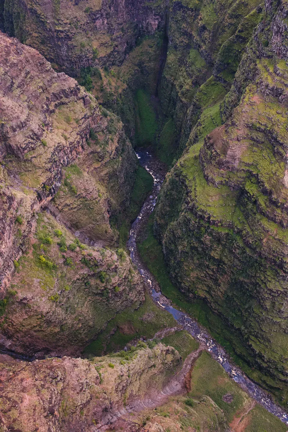 2023 hawaii image 31