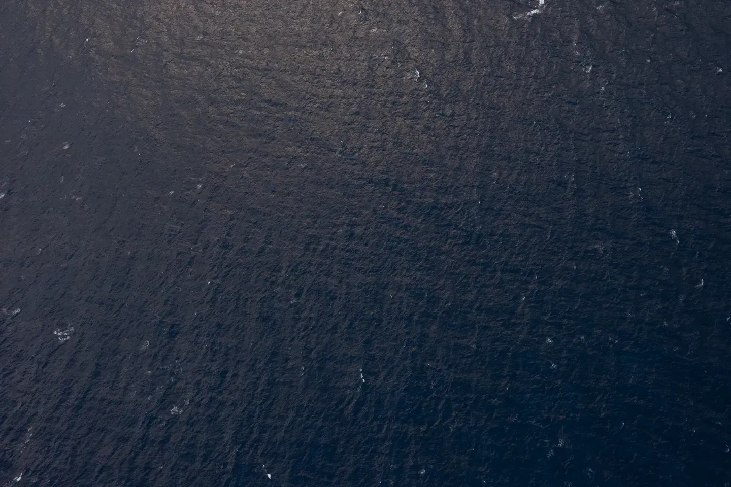 2023 hawaii image 39