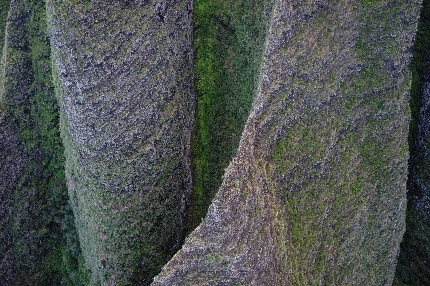 2023 hawaii image 40