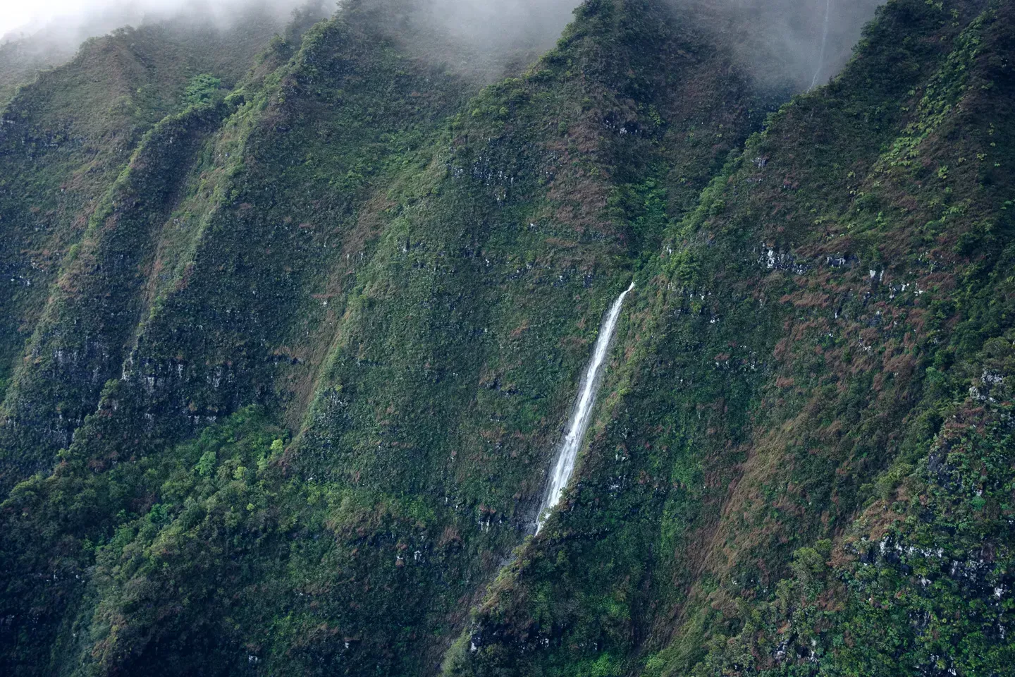 2023 hawaii image 43