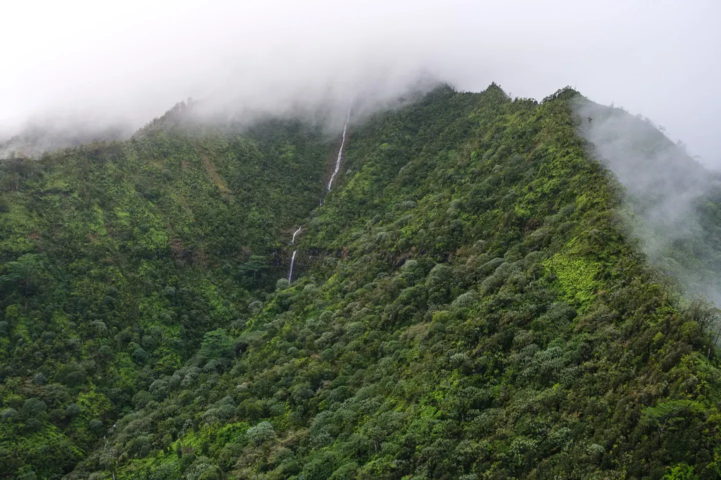 2023 hawaii image 53