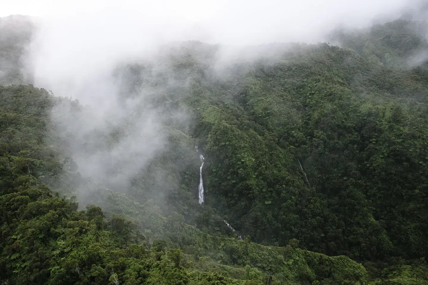 2023 hawaii image 55