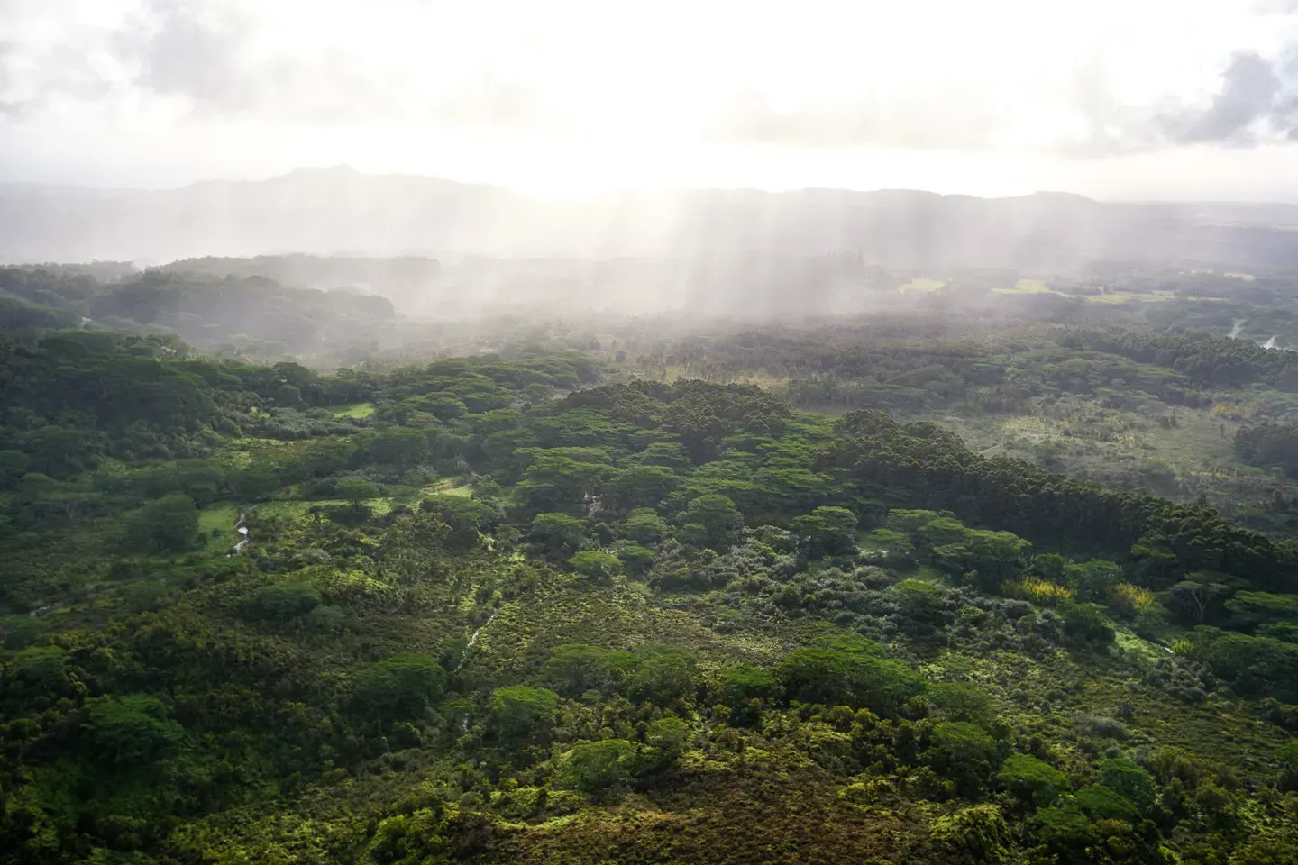 2023 hawaii image 56