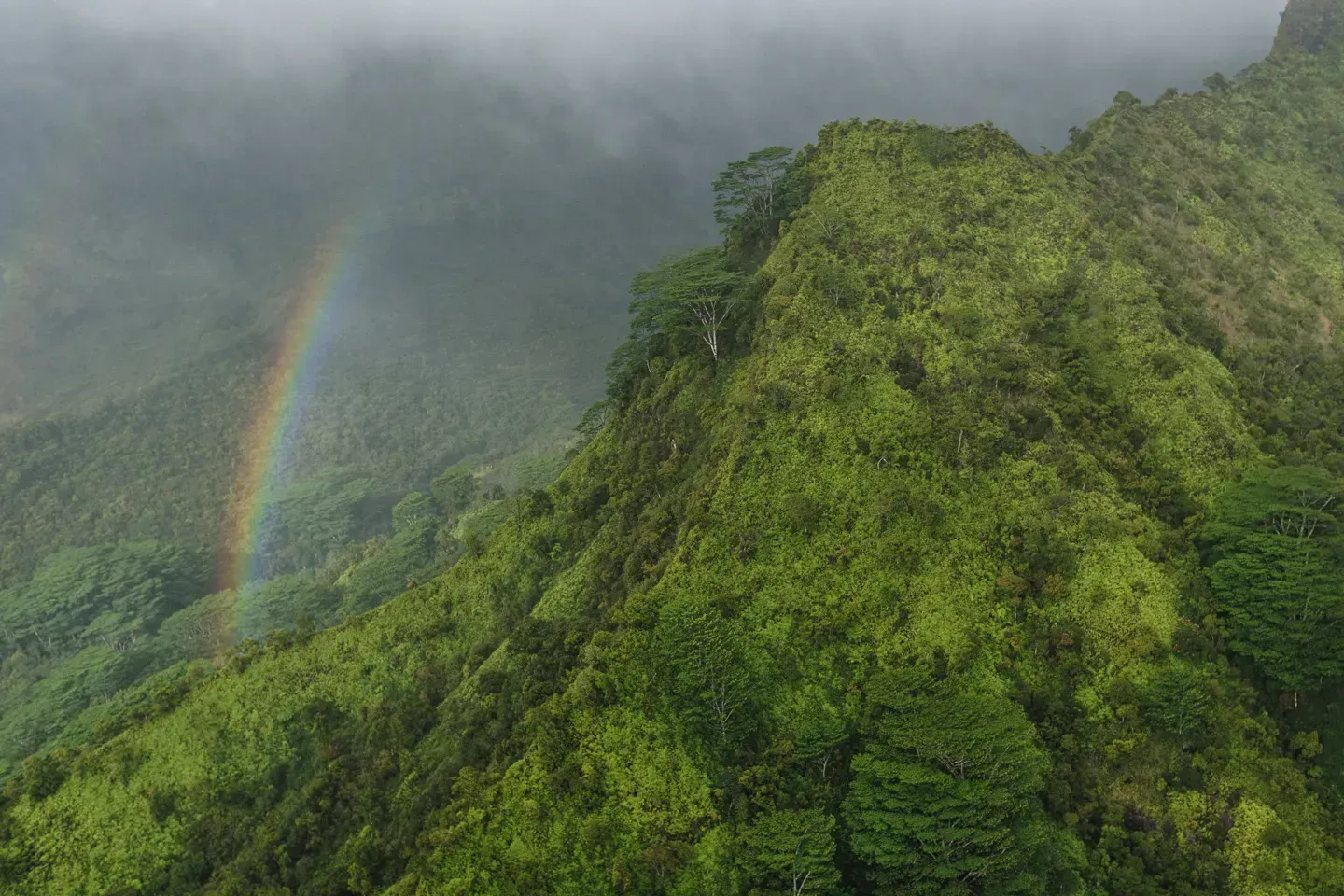 2023 hawaii image 57