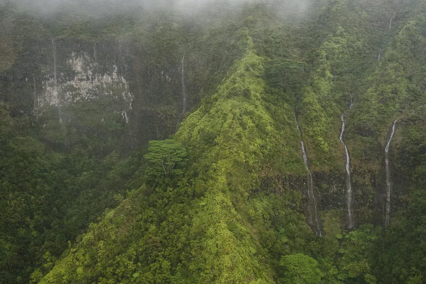 2023 hawaii image 58