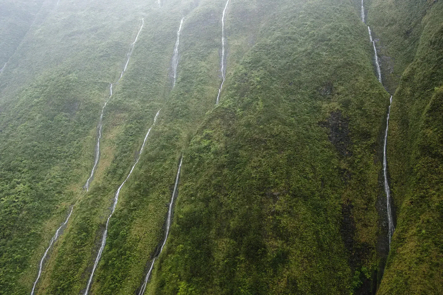 2023 hawaii image 60