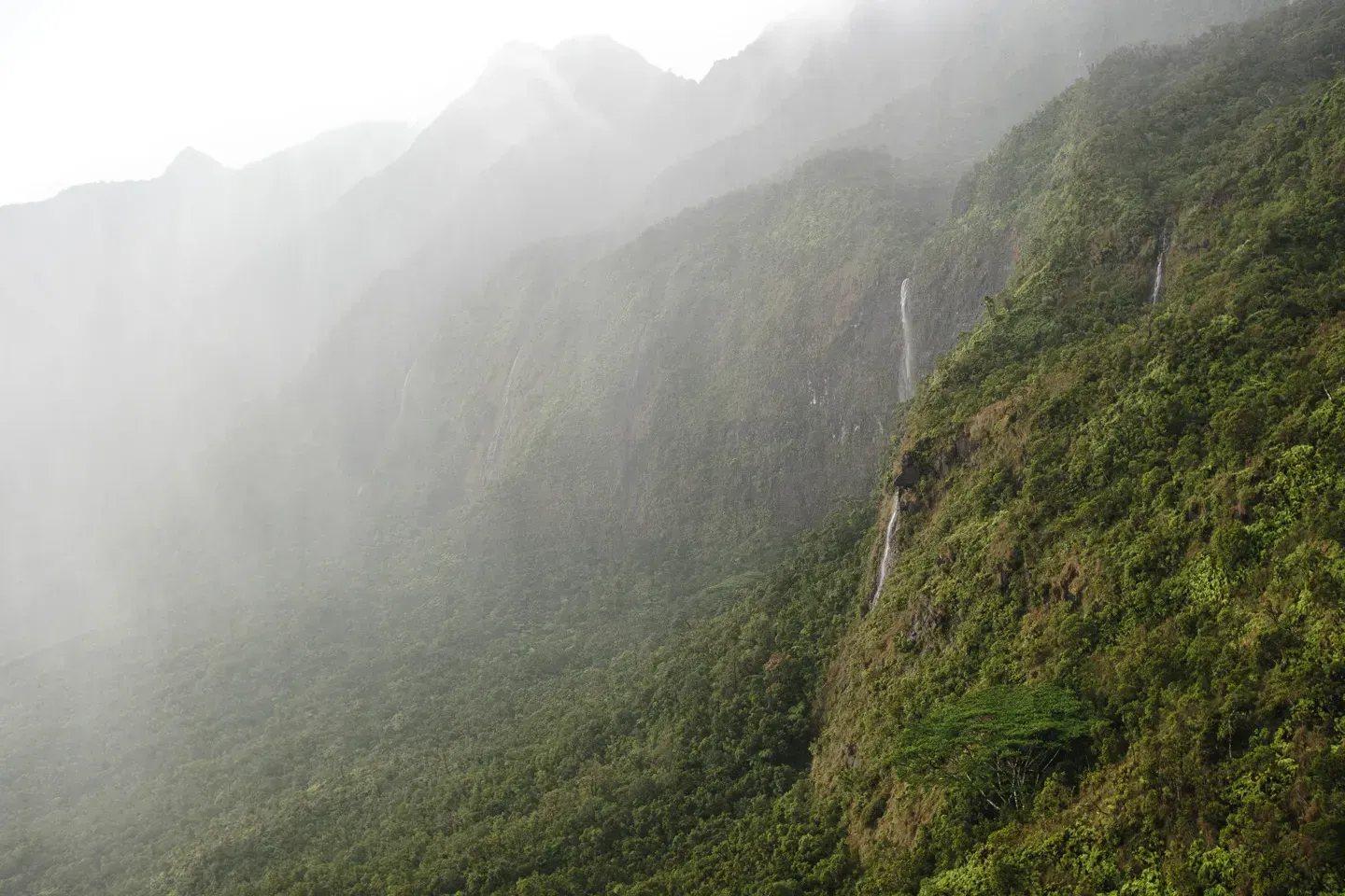 2023 hawaii image 61