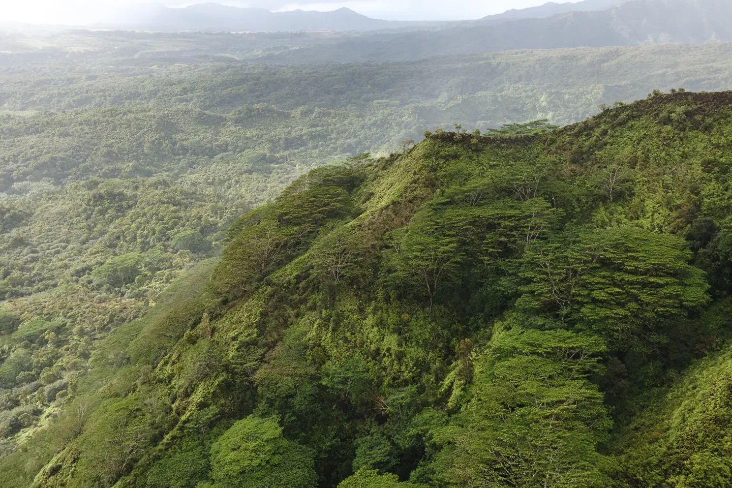 2023 hawaii image 62