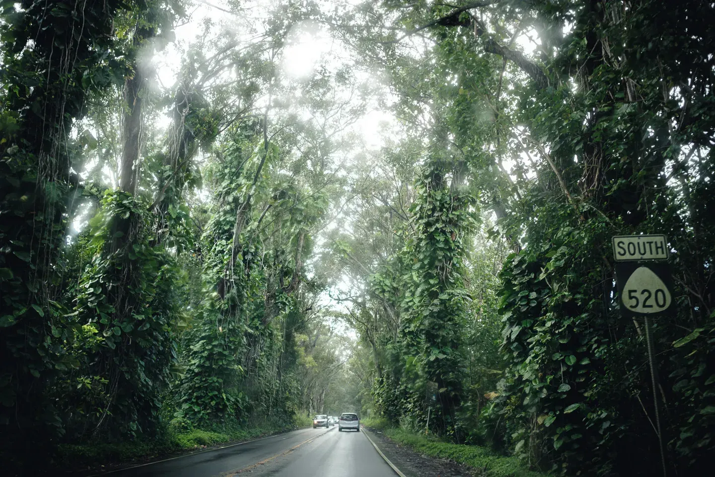 2023 hawaii image 66