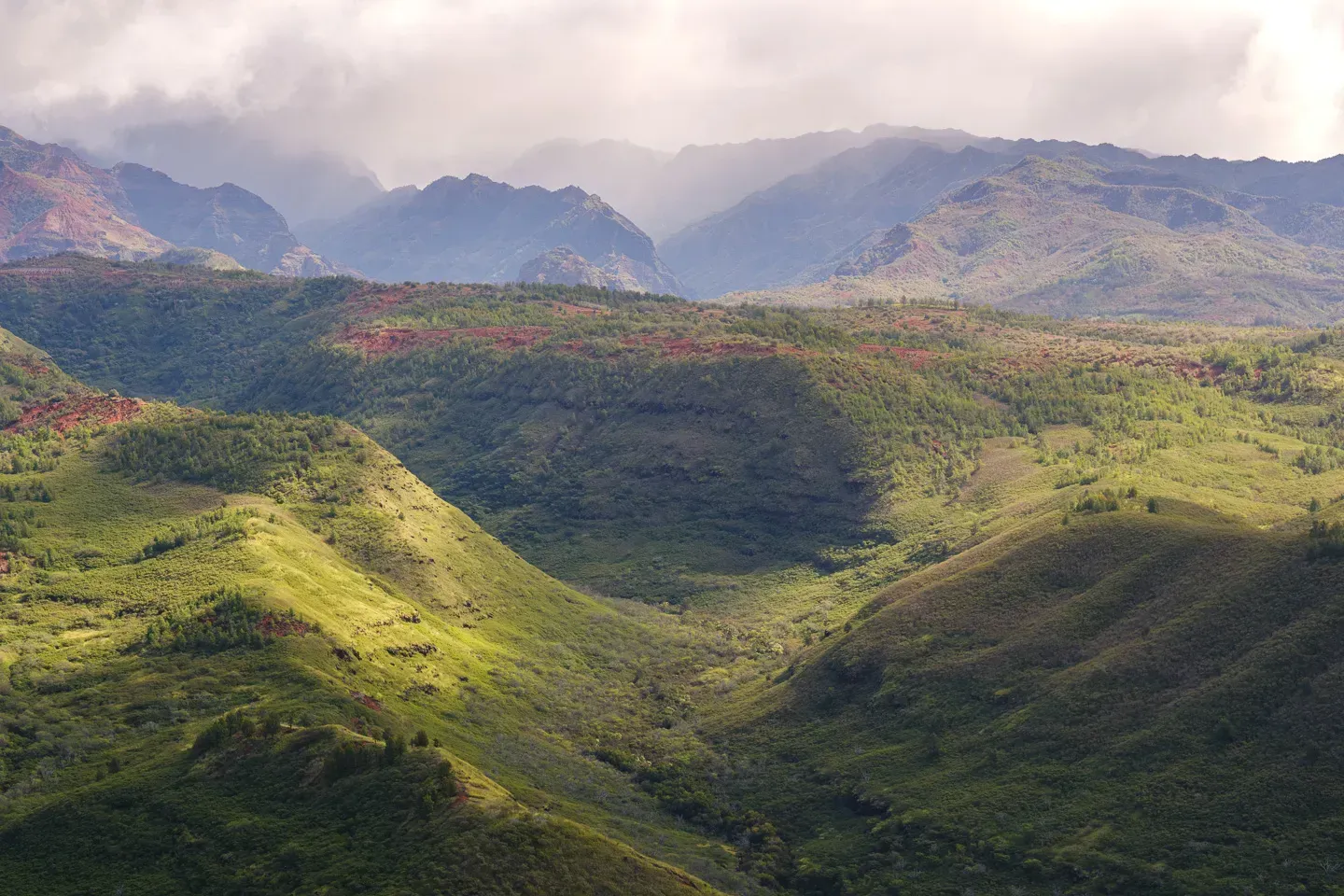 2023 hawaii image 87