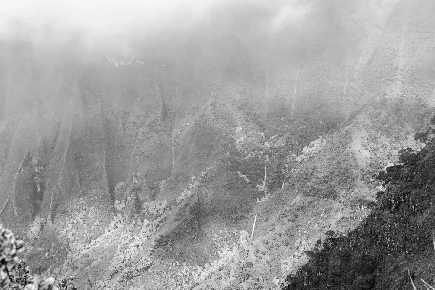 2023 hawaii image 98