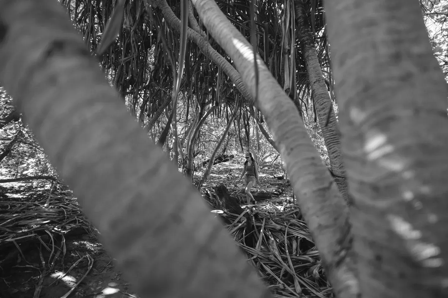 2023 hawaii image 108