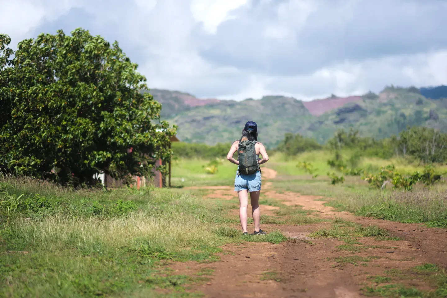 2023 hawaii image 110