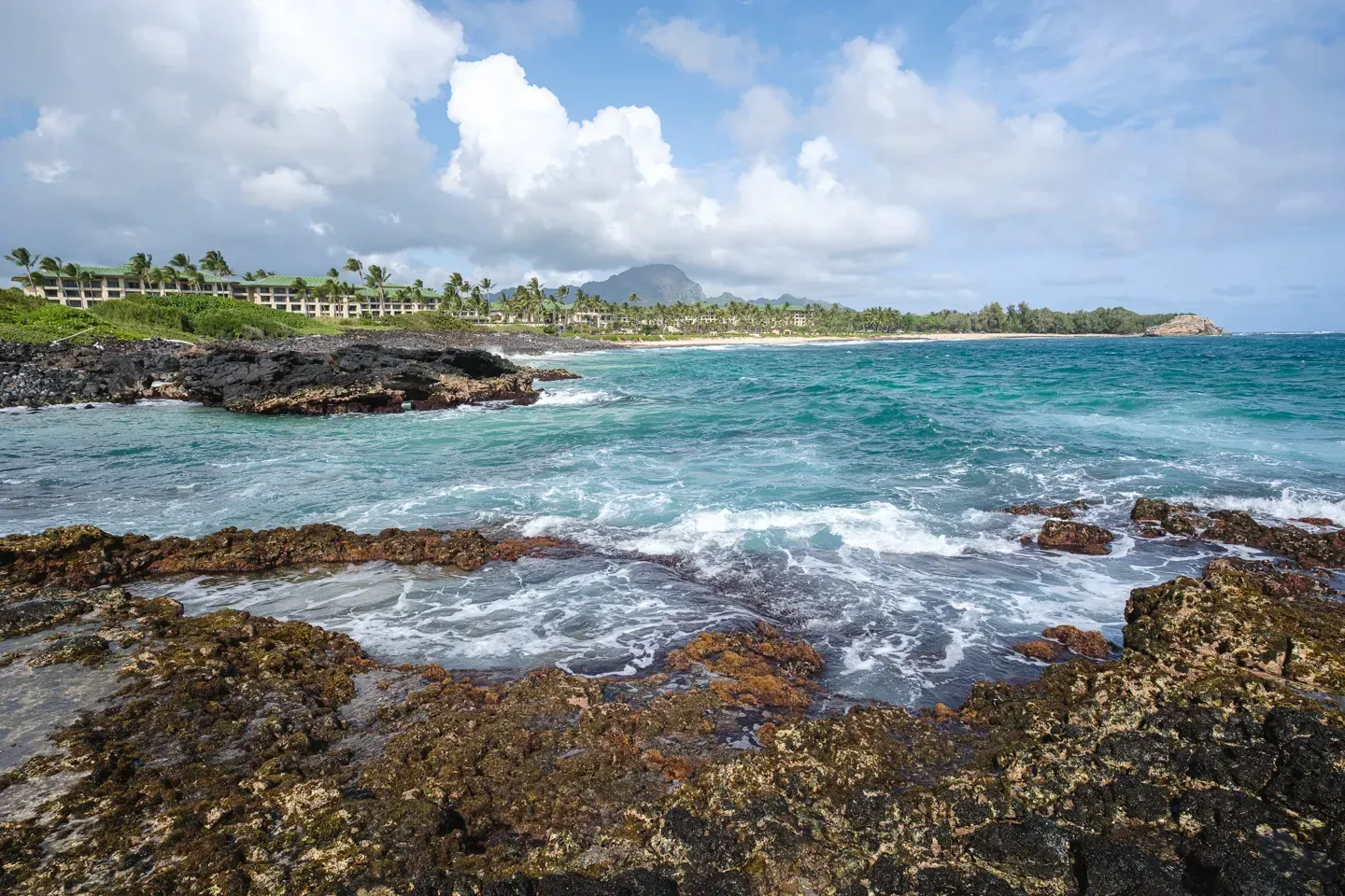 2023 hawaii image 122