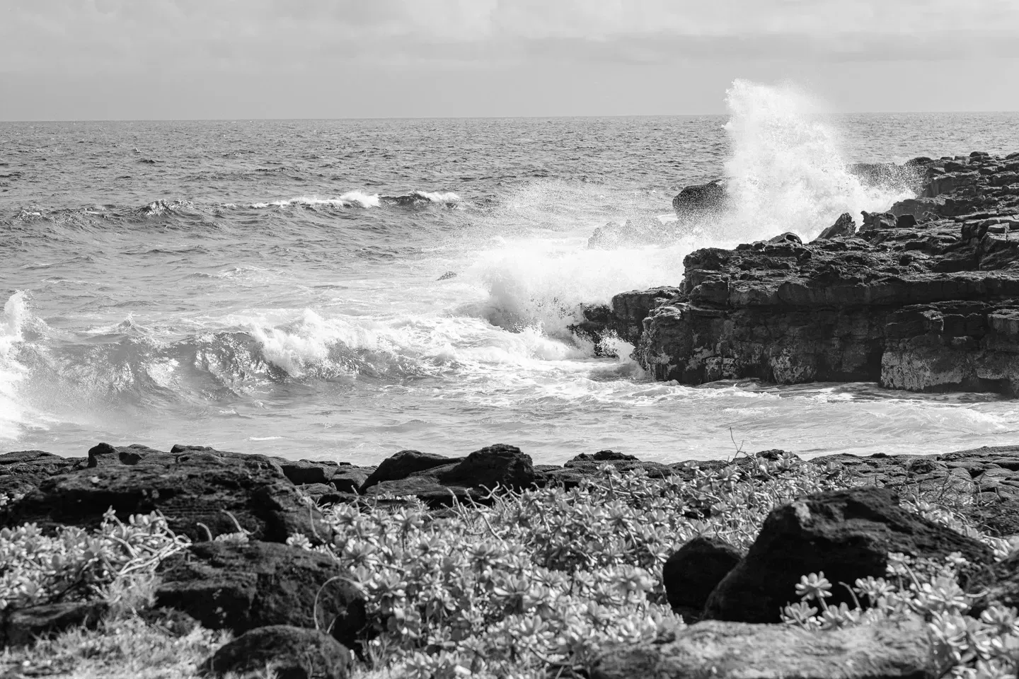 2023 hawaii image 123