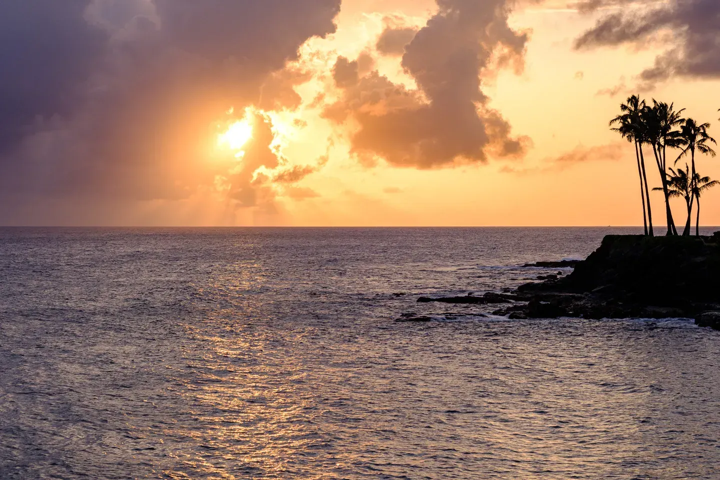 2023 hawaii image 126
