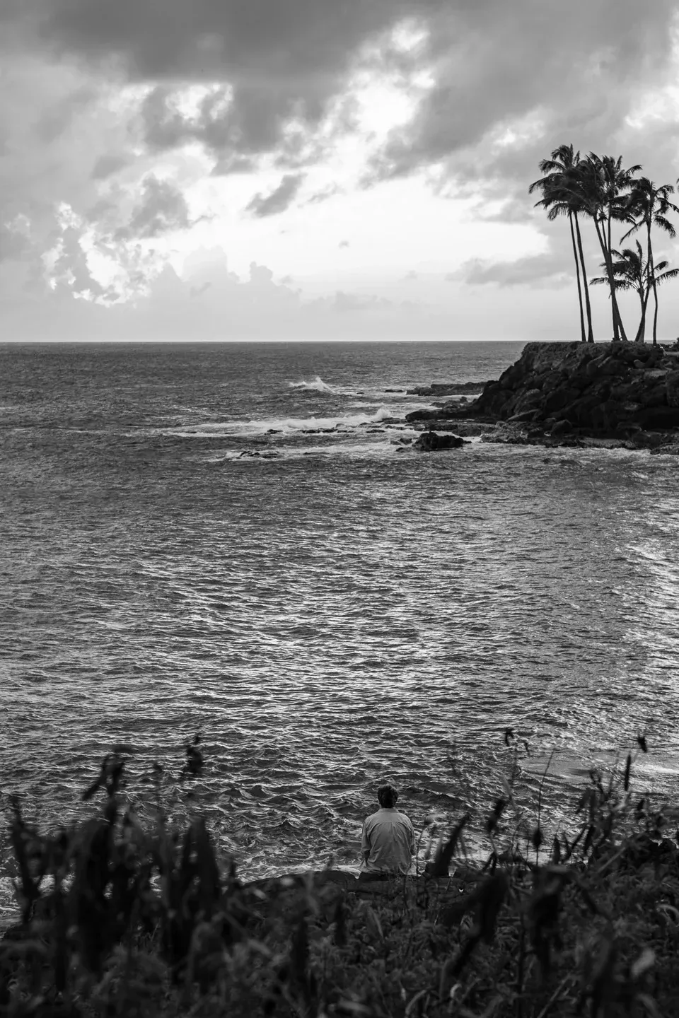 2023 hawaii image 127