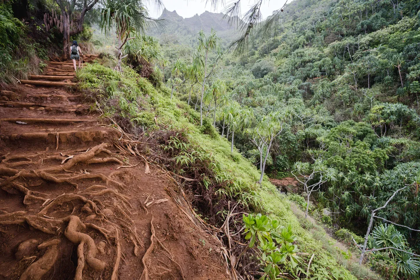 2023 hawaii image 150