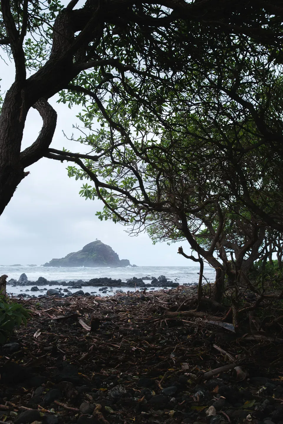 2023 hawaii image 185