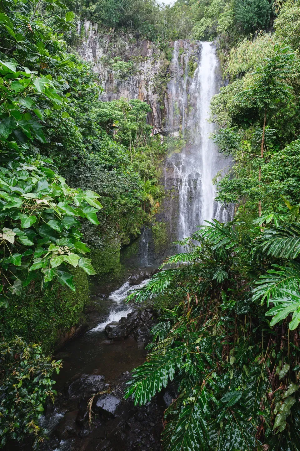2023 hawaii image 187