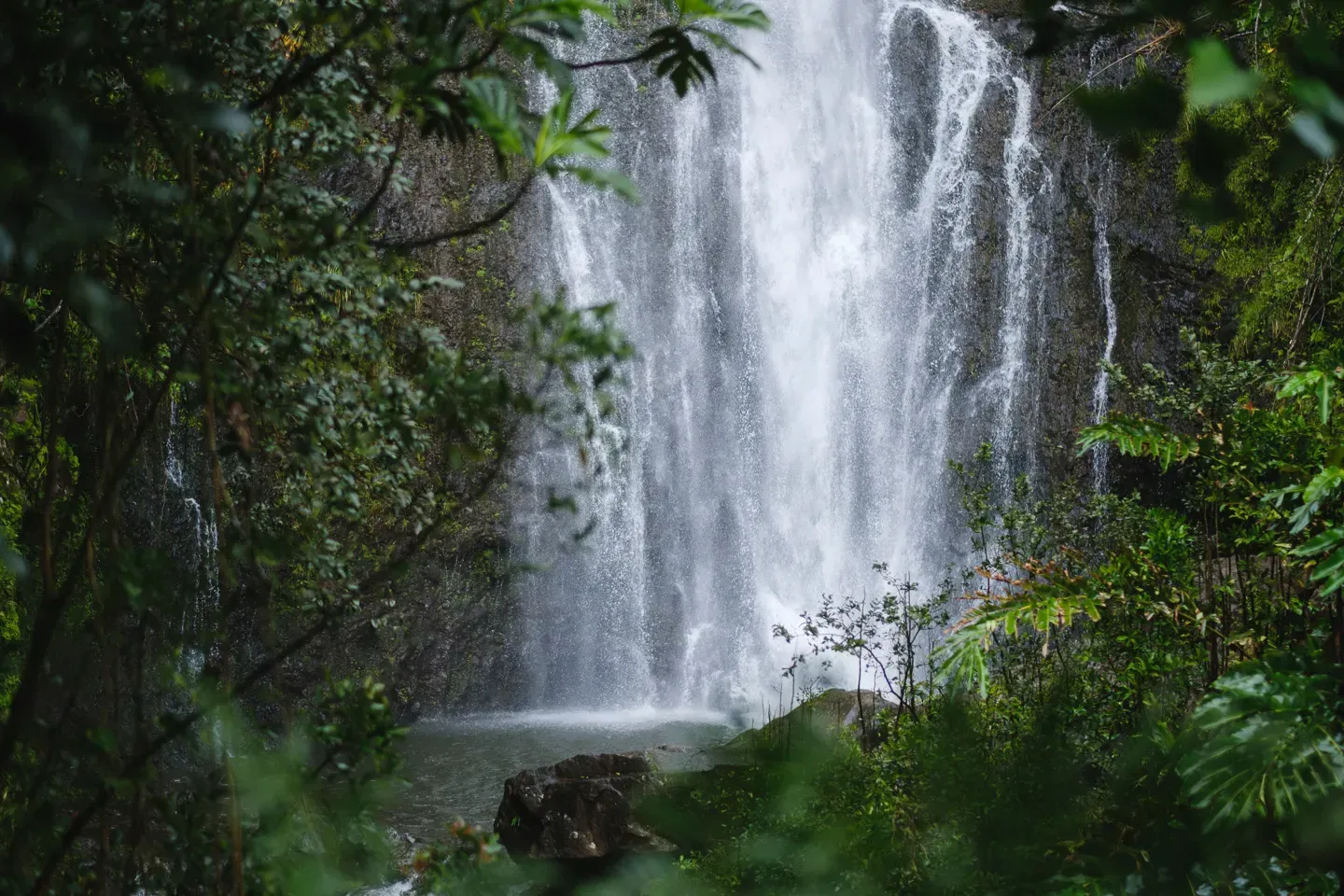 2023 hawaii image 188