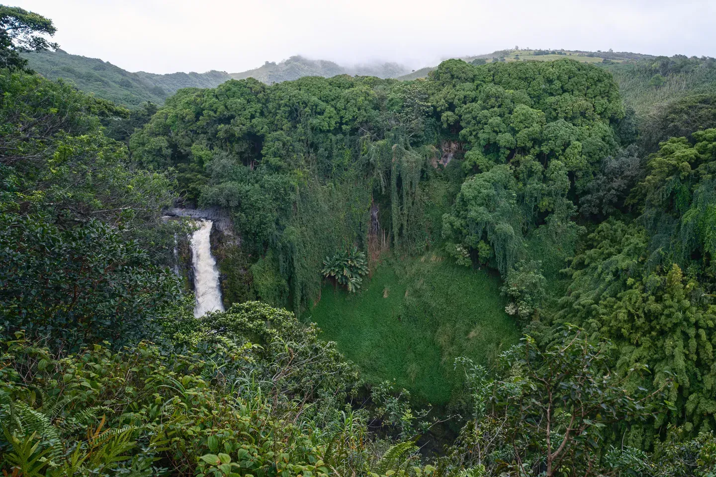 2023 hawaii image 189