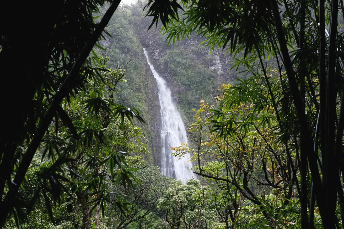 2023 hawaii image 197