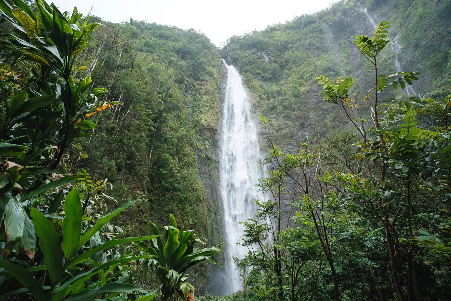 2023 hawaii image 200