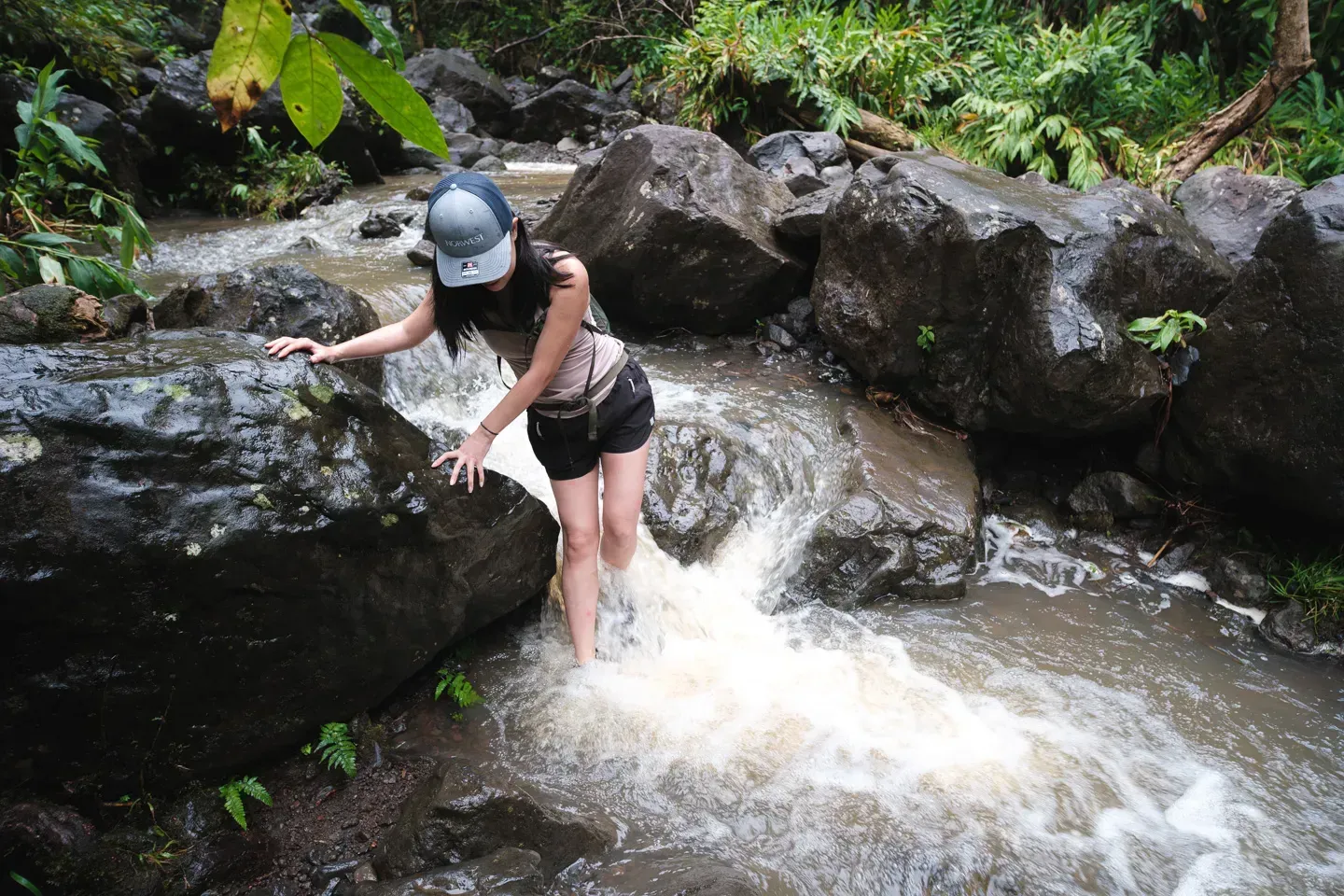 2023 hawaii image 201