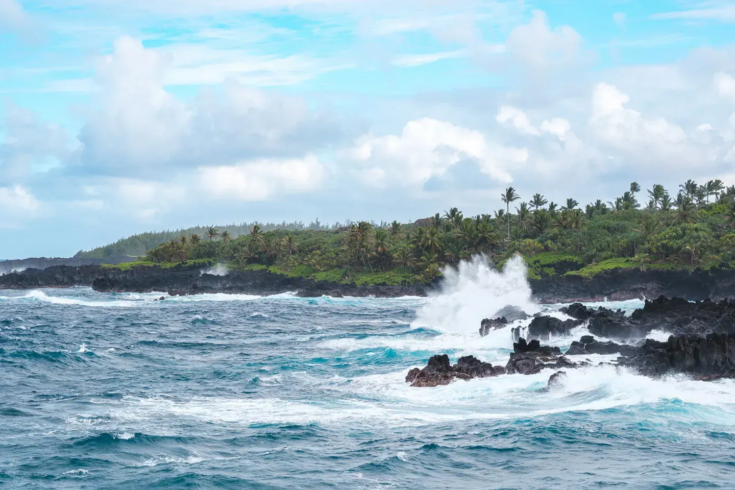 2023 hawaii image 211