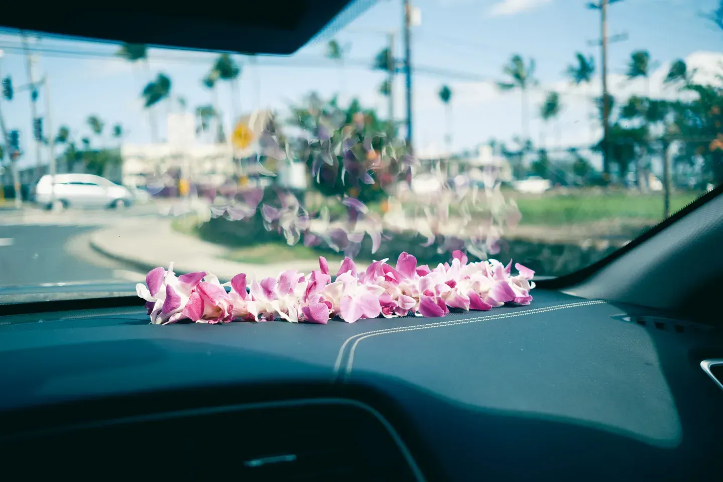 2023 hawaii image 230