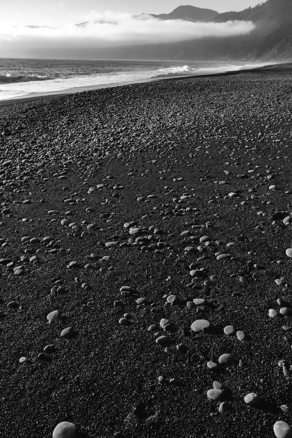 2023 lostcoast image 12