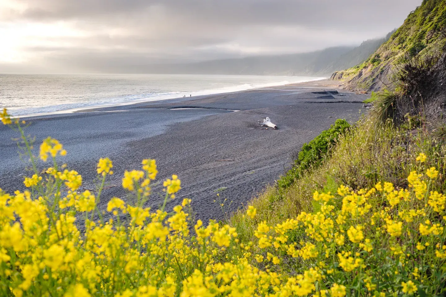 2023 lostcoast image 23