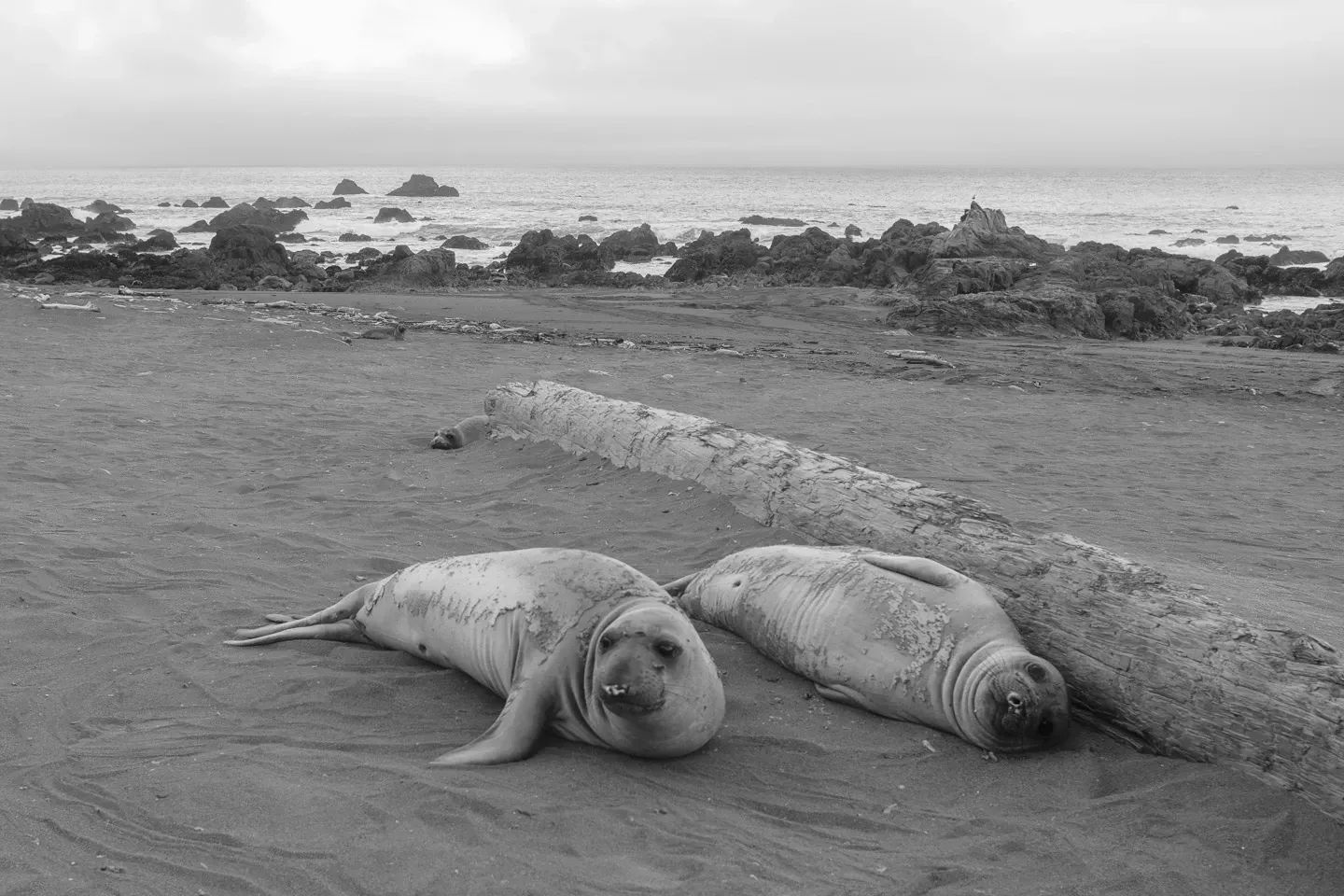 2023 lostcoast image 37