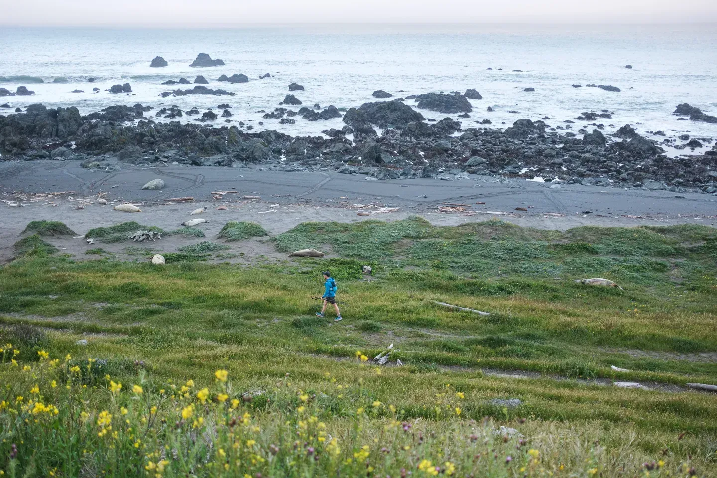 2023 lostcoast image 44