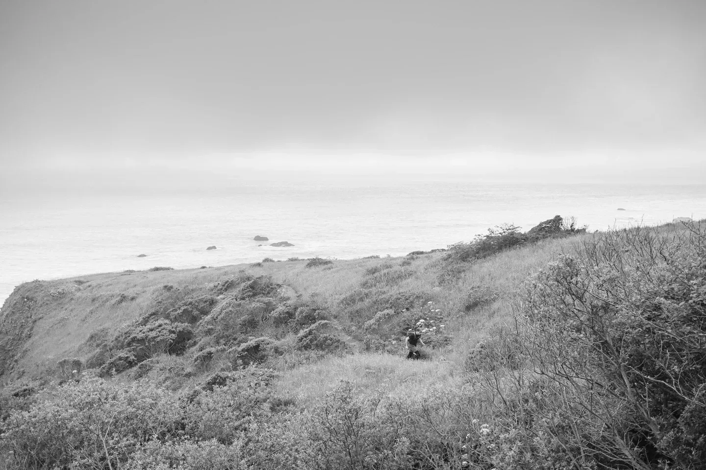 2023 lostcoast image 53