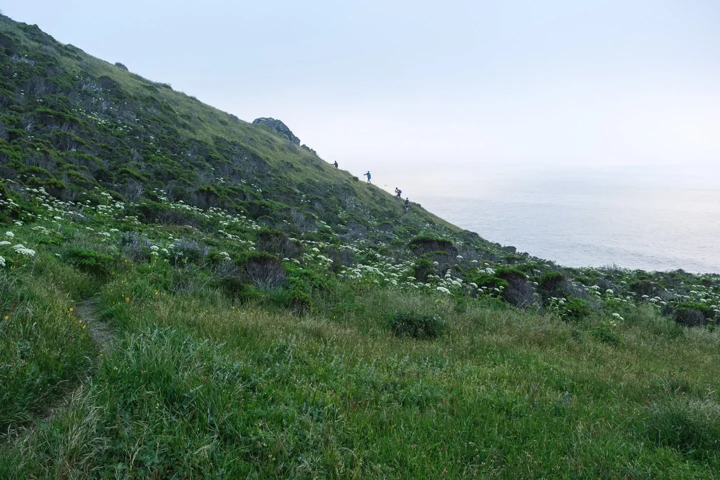 2023 lostcoast image 54