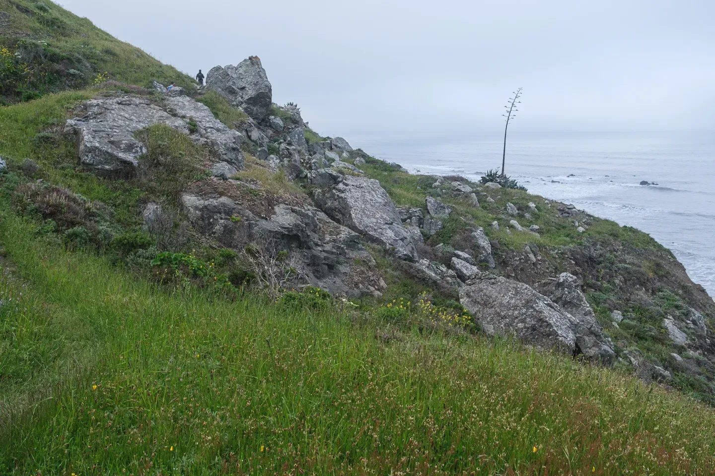 2023 lostcoast image 55