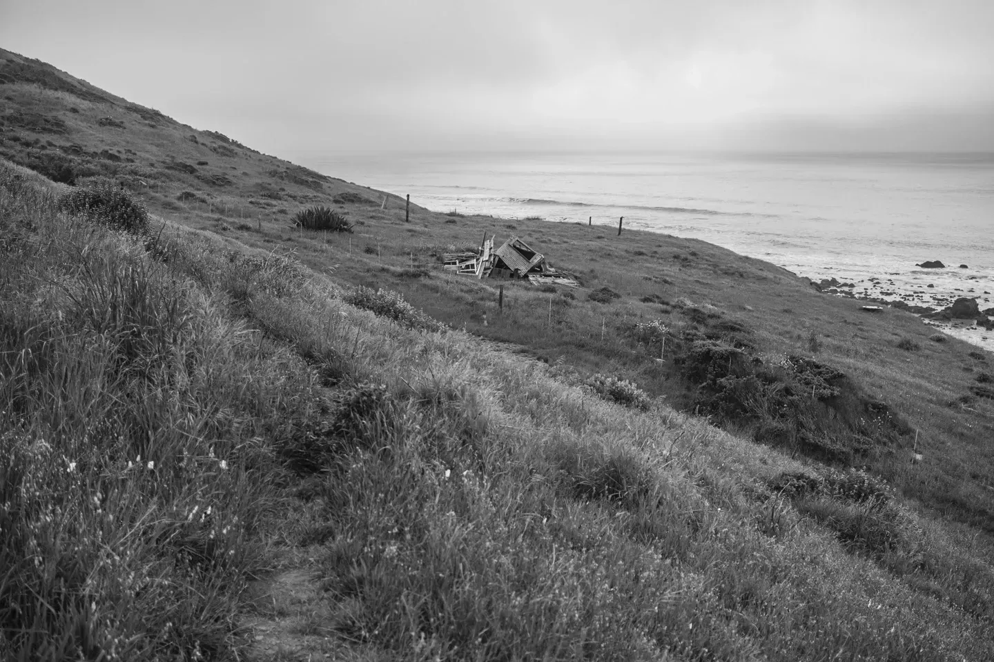 2023 lostcoast image 56