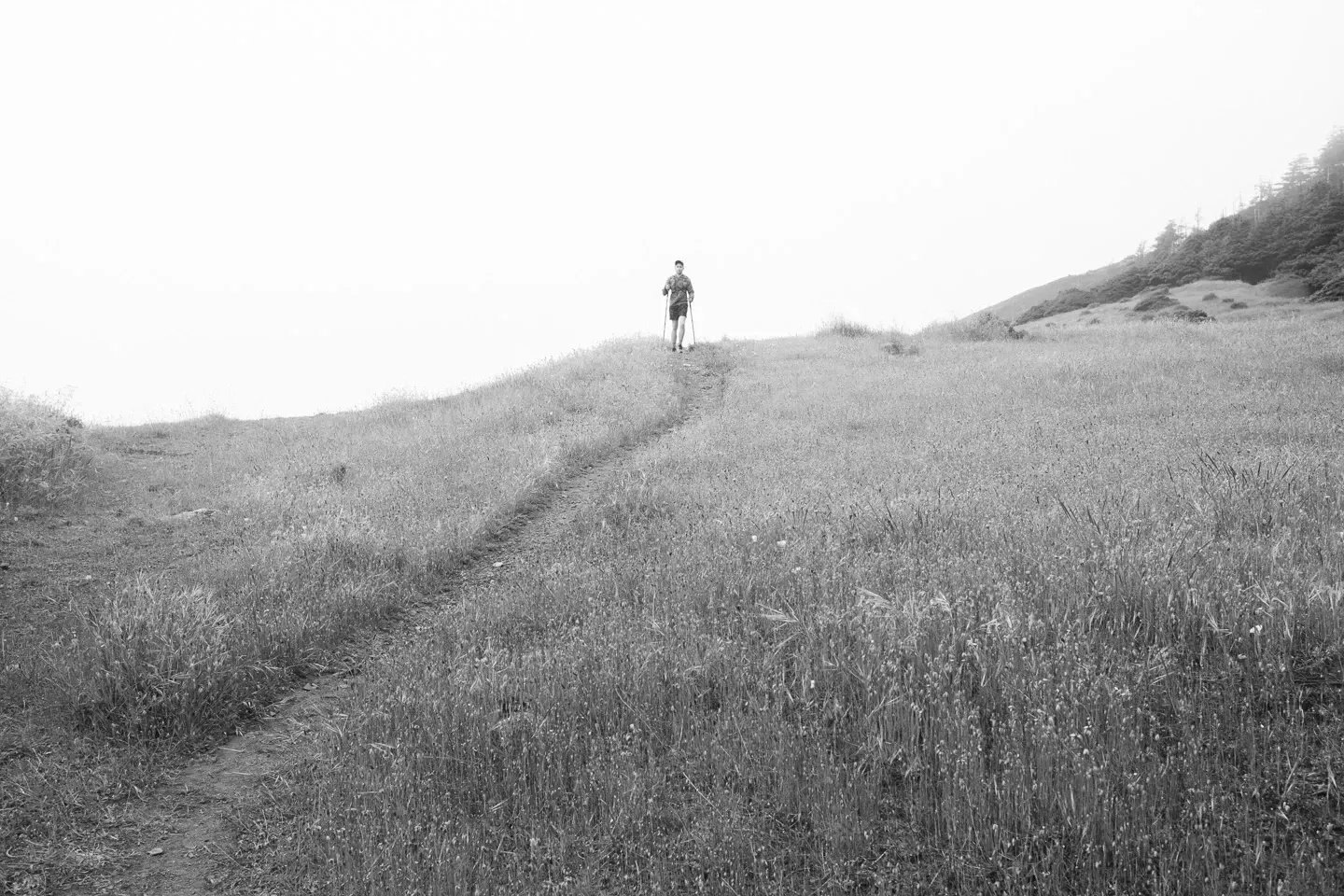 2023 lostcoast image 81