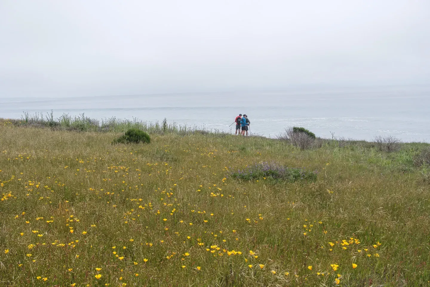 2023 lostcoast image 96