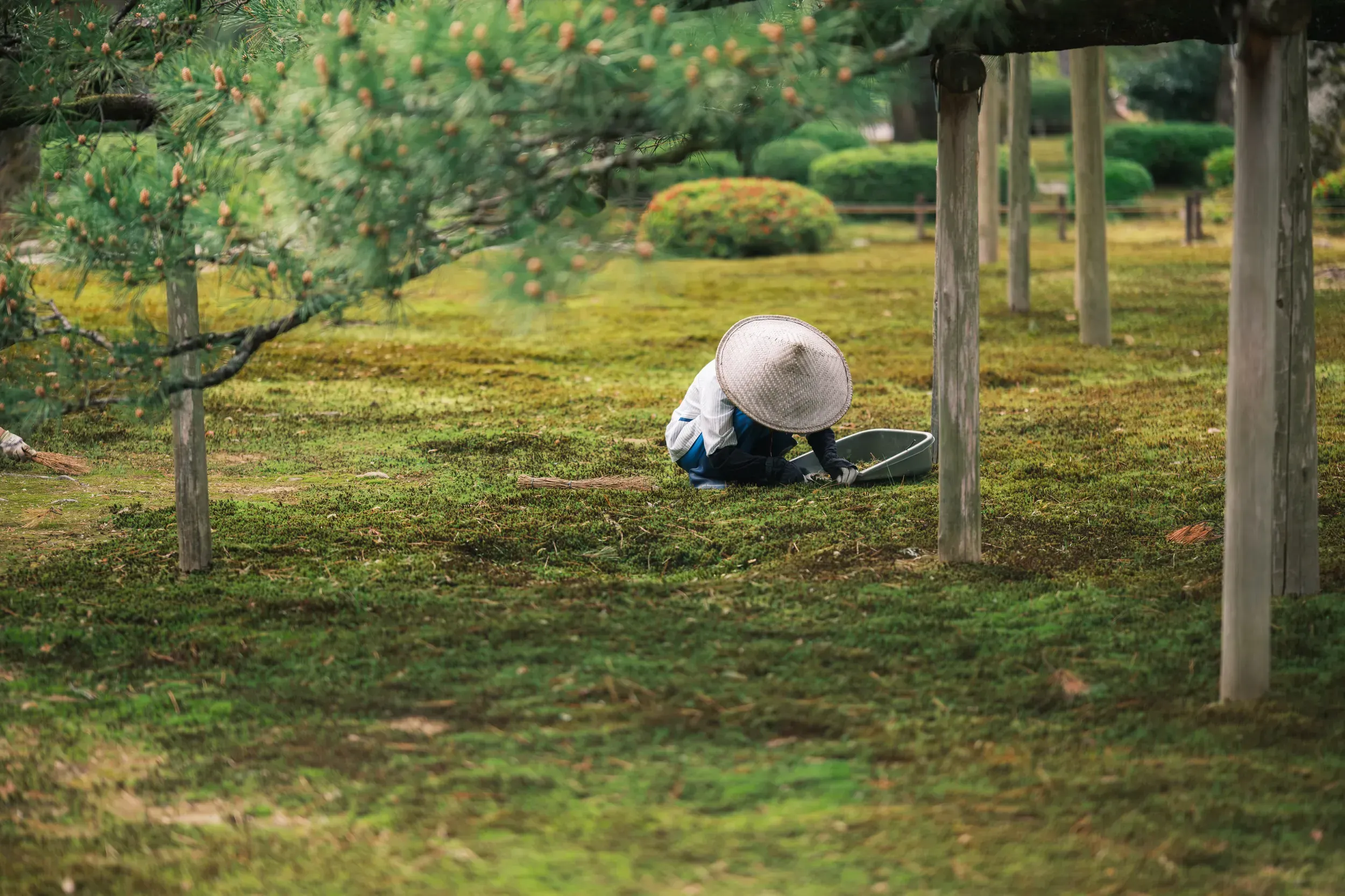 2025 japan image 15